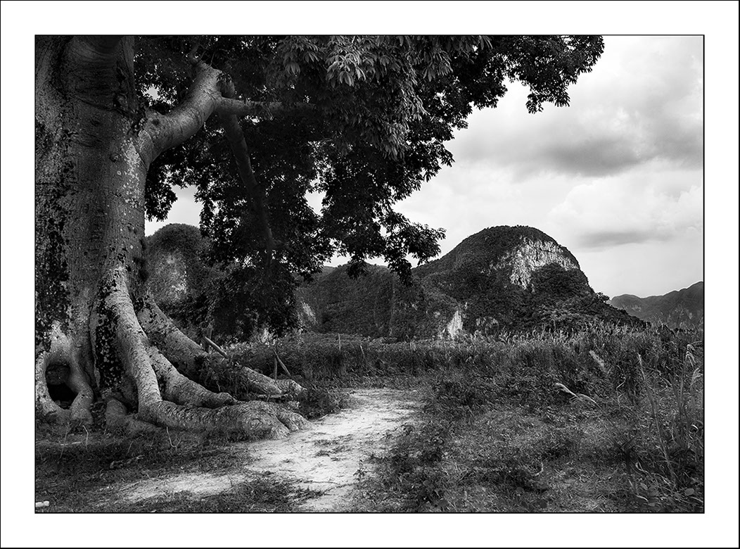 %_tempFileNameCUBA_0270%