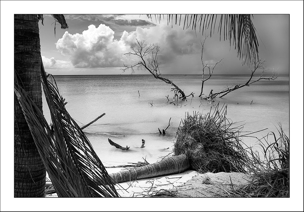 %_tempFileNameCUBA_0455%