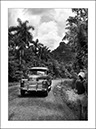 %_tempFileNameCUBA_0171%