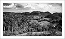 %_tempFileNameCUBA_0354%