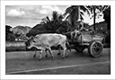 %_tempFileNameCUBA_0381%