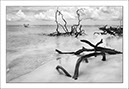 %_tempFileNameCUBA_0447%
