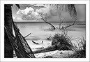 %_tempFileNameCUBA_0455%
