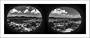 %_tempFileNameCUBA_0769%